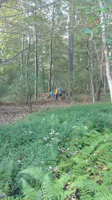 St Johns Church Camp Picture 8