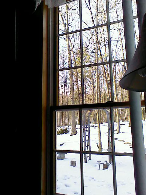 Lake View Trails, Inc. Picture 1