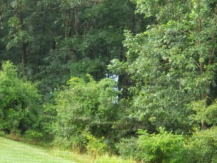 Lake View Trails, Inc. Picture 2