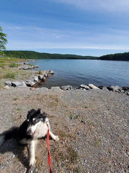 Susquehannock Campground - U.S. Army Corp of Engineers Picture 5