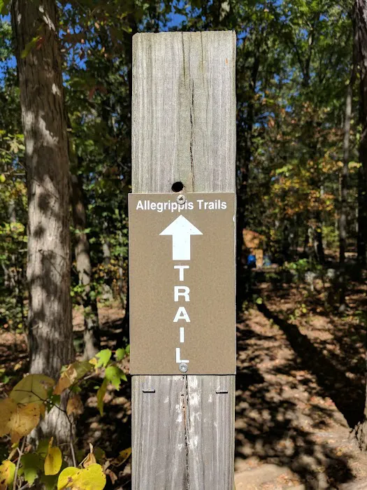 Susquehannock Campground - U.S. Army Corp of Engineers Picture 1