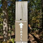 Susquehannock Campground - U.S. Army Corp of Engineers