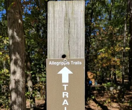 Susquehannock Campground - U.S. Army Corp of Engineers