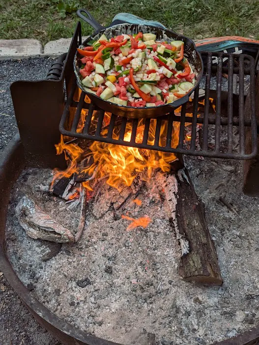 Susquehannock Campground - U.S. Army Corp of Engineers Picture 10