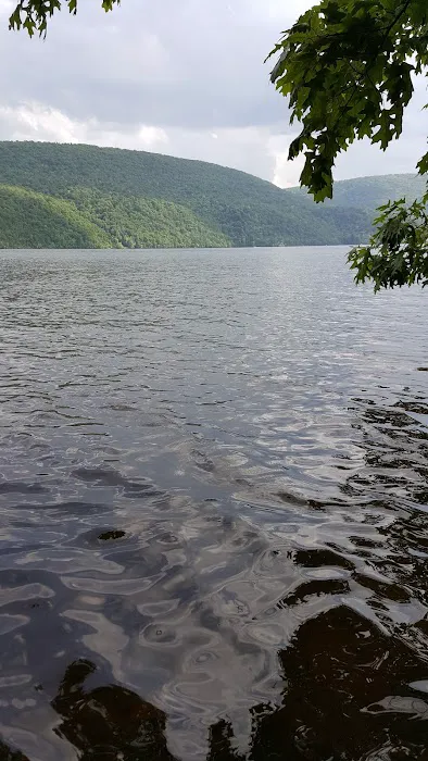 Woodland Camping Resort Picture 4