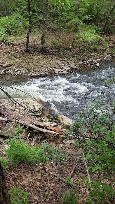 Woodland Camping Resort Picture 7