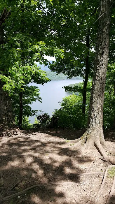 Woodland Camping Resort Picture 10