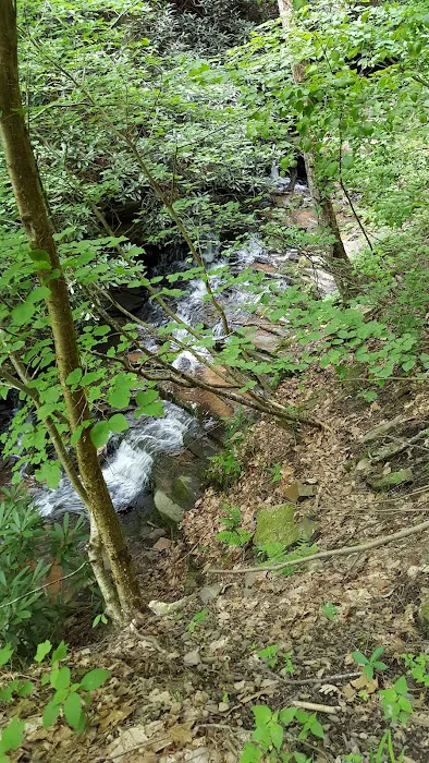 Woodland Camping Resort Picture 3