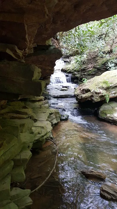 Woodland Camping Resort Picture 9