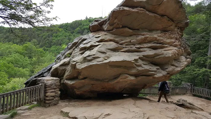 Woodland Camping Resort Picture 6