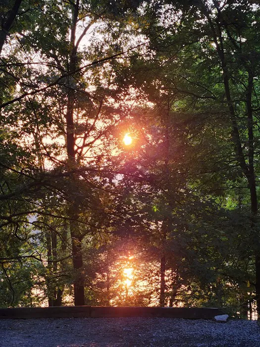 Seven Points Campground- Senoia Camp Loop Picture 6