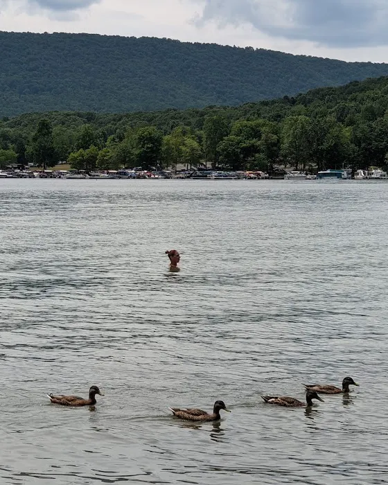 Seven Points Campground- Bay Camp Loop Picture 10