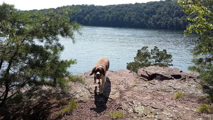 Seven Points Campground- Meadow Camp Loop Picture 7