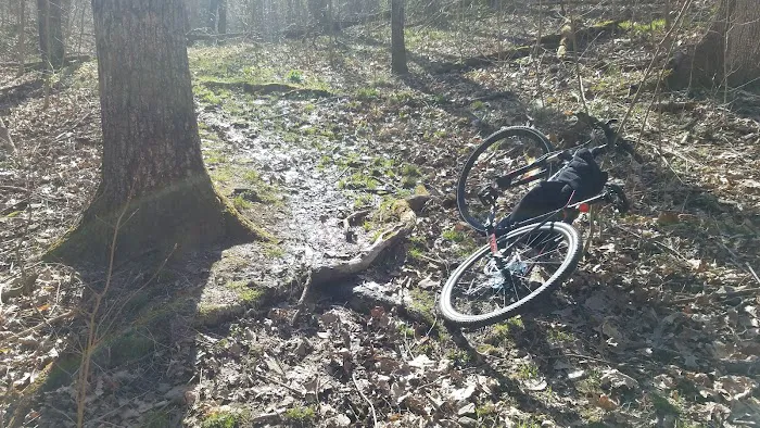 Seven Points Campground- Meadow Camp Loop Picture 9