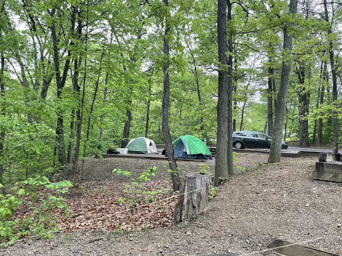 Seven Points Campground Picture 10