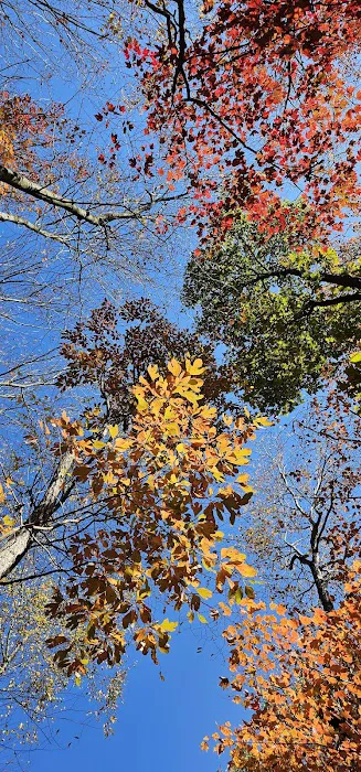 Seven Points Campground Picture 3