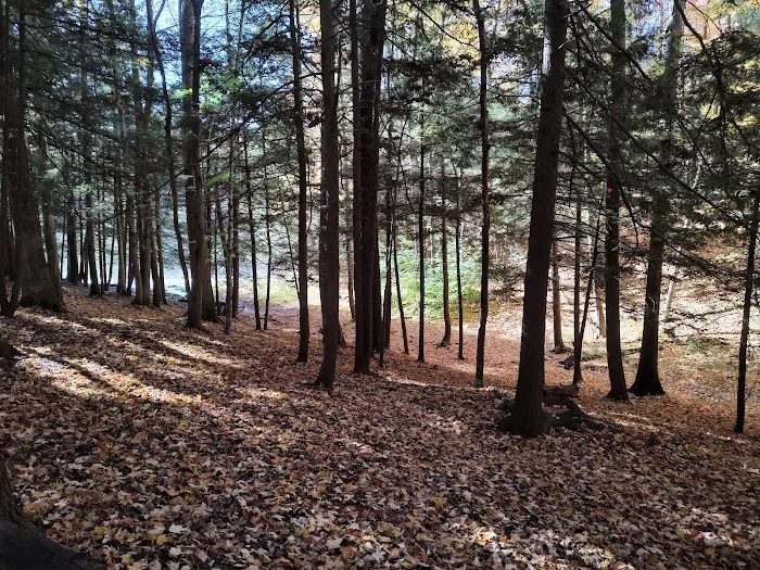 Crooked Run Campground Picture 9