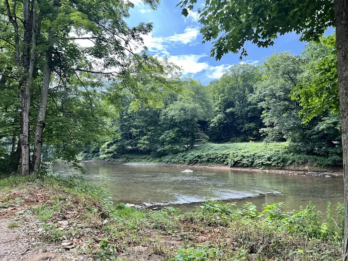 Chess Falls Campground Picture 8