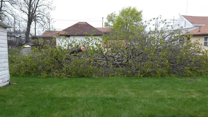 Clearview Campground Picture 9