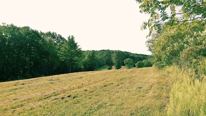 Clearview Campground Picture 8