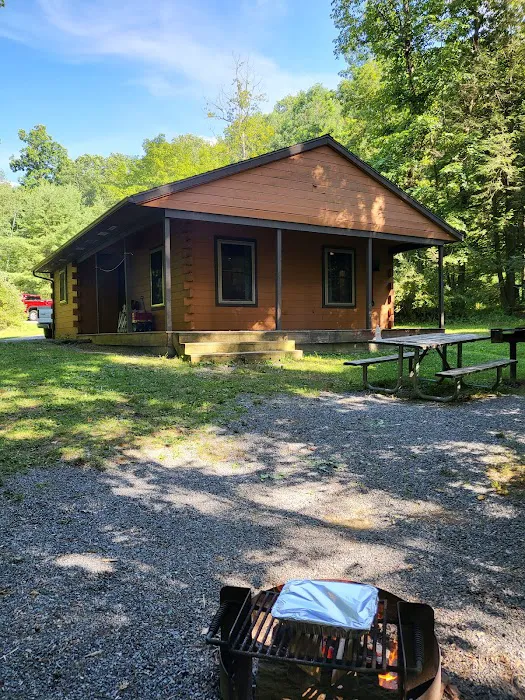 Prince Gallitzin Modern Cabins Picture 3