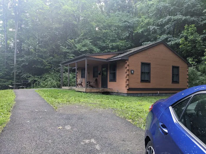 Prince Gallitzin Modern Cabins Picture 7