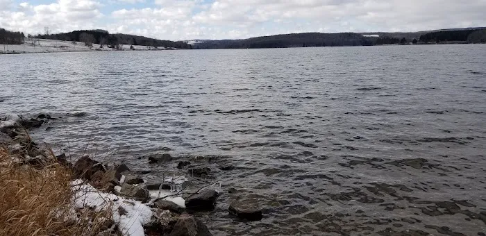 Prince Gallitzin Modern Cabins Picture 5