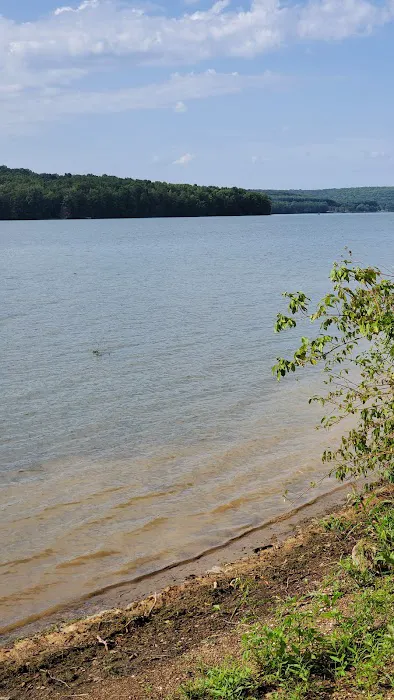 Prince Gallitzin Modern Cabins Picture 6