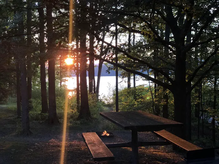 Prince Gallitzin Modern Cabins Picture 4