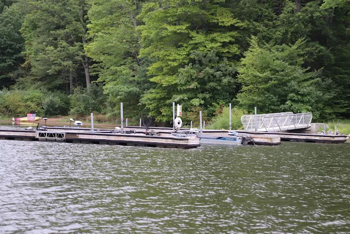 Prince Gallitzin Modern Cabins Picture 10