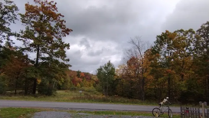 Camp Sheeley's Picture 4