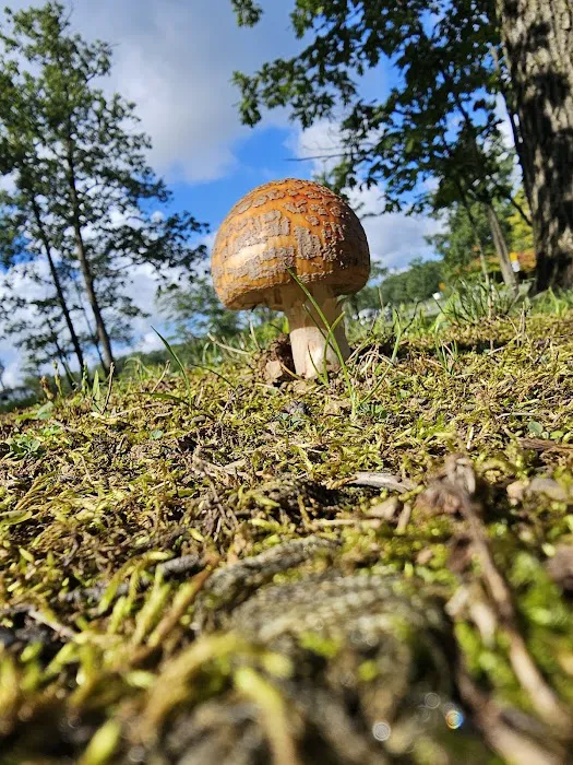 DuBois/Treasure Lake KOA Holiday Picture 8