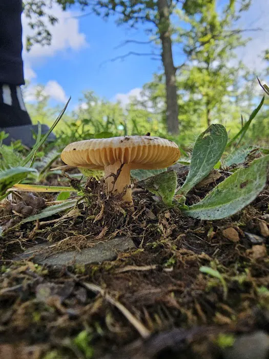 DuBois/Treasure Lake KOA Holiday Picture 2