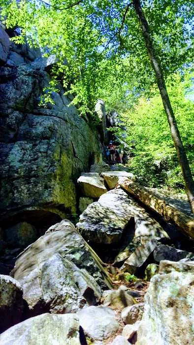 Hermitage Cabin (PATC): Parking Area Picture 6