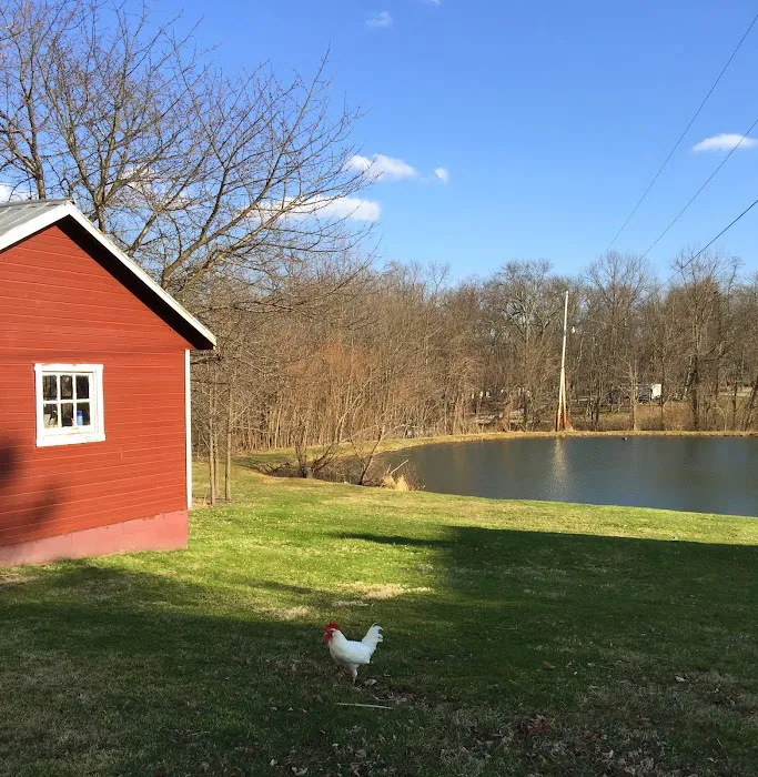 Granite Hill Camping Resort Picture 5