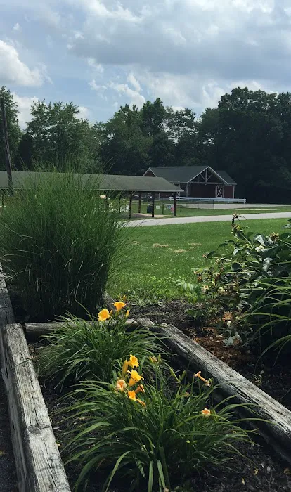 Granite Hill Camping Resort Picture 8