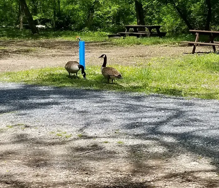 Gettysburg Campground Picture 10