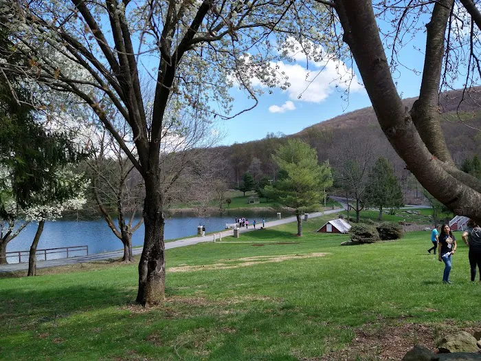 Summit Lake Camp Picture 8