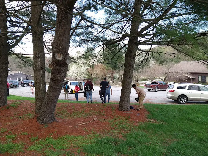 Summit Lake Camp Picture 10