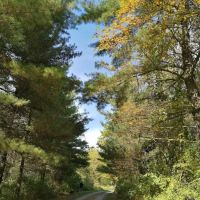 CW Camping ico