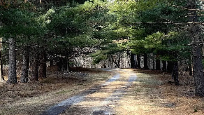 CW Camping Picture 2