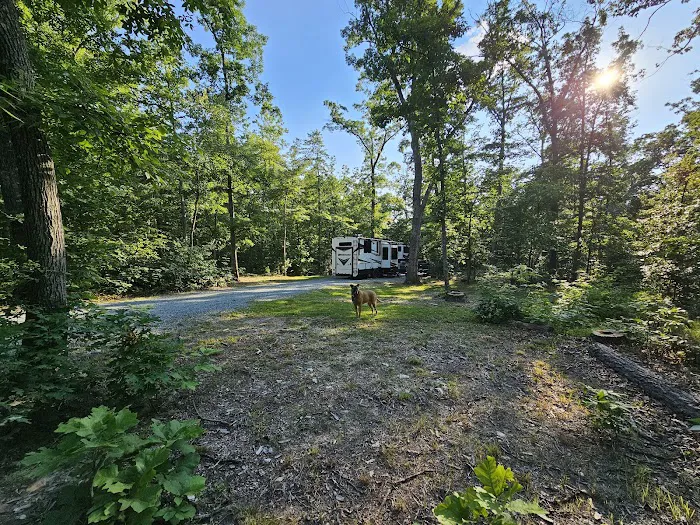 Little Bennett Campground Loop A Tent Area Picture 10