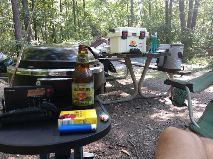 Little Bennett Campground Loop A Tent Area Picture 9