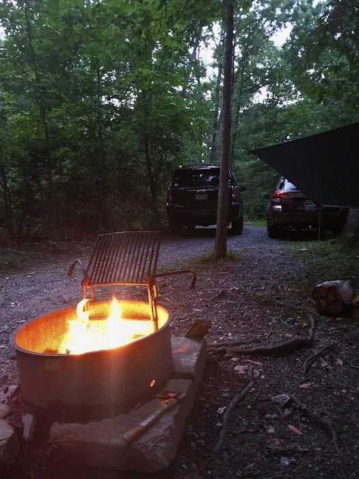 Little Bennett Campground Loop A Tent Area Picture 8