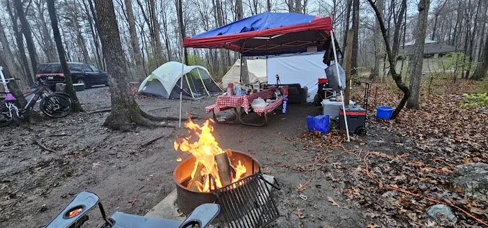 Little Bennett Campground Loop A Tent Area Picture 5