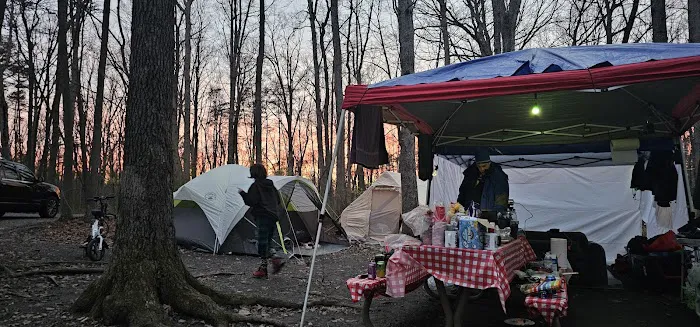Little Bennett Campground Loop A Tent Area Picture 1
