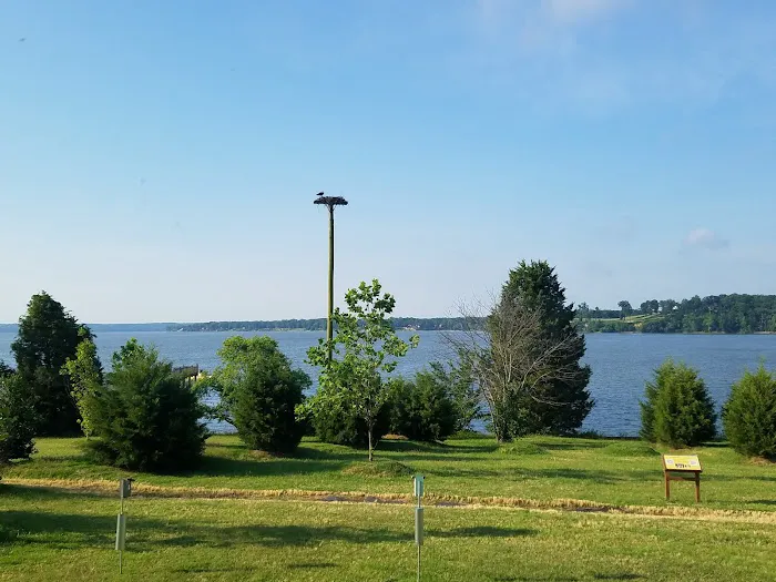 Travel Camp Picture 5