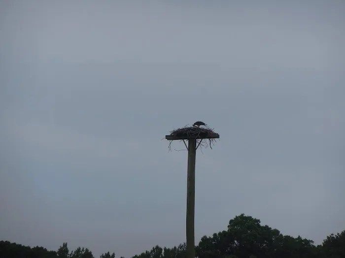 Travel Camp Picture 10