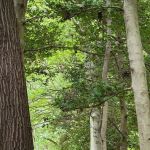 Pohick Bay Campground and Park Office