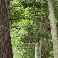 Pohick Bay Campground and Park Office ico